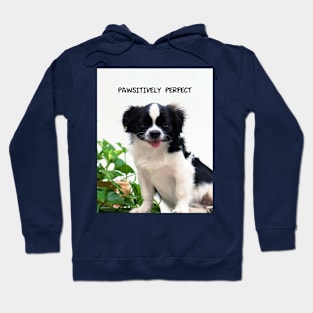 LOVE DOGS Hoodie